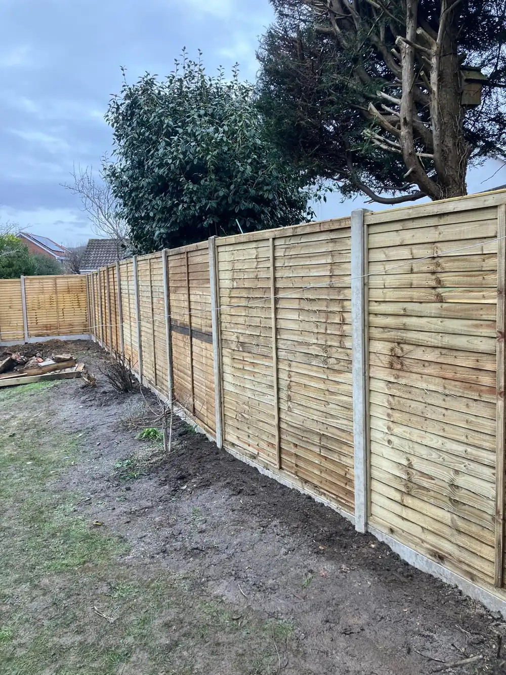 New lap panel garden fencing with concrete posts along a garden boundary